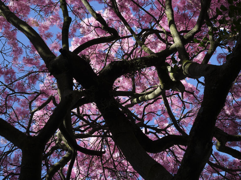 Cuando nos abrimos a la vida