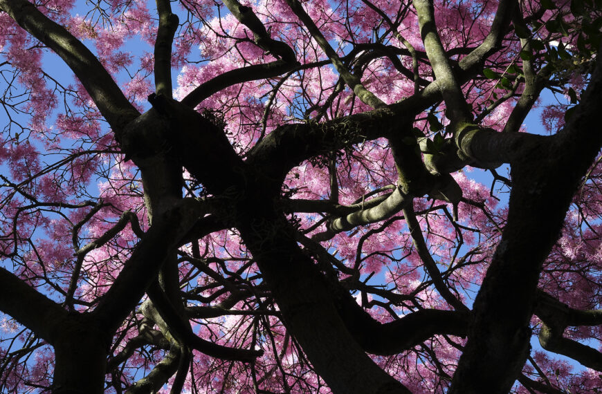 Cuando nos abrimos a la vida